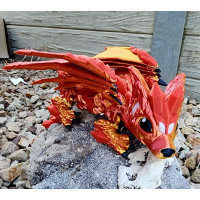 Baby Wolf Dragon