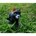 Dog with Cheeky Grin